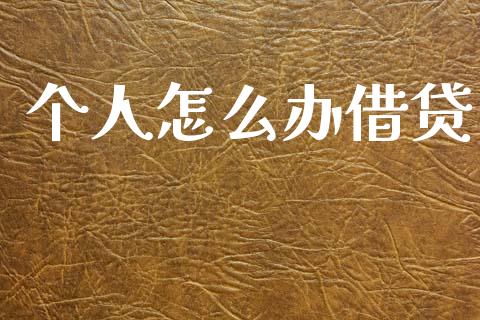 个人怎么办借贷_https://m.lcpcjs.com_恒指期货保证金_第1张