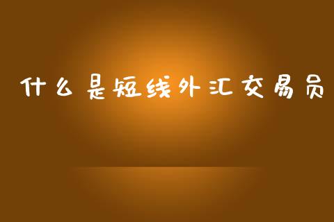 什么是短线外汇交易员_https://m.lcpcjs.com_白银期货保证金_第1张