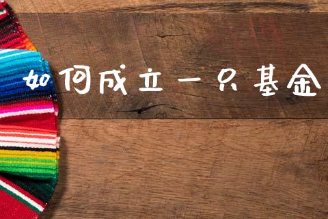 如何成立一只基金_https://m.lcpcjs.com_期货交易_第1张