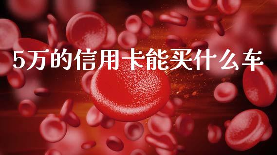 5万的信用卡能买什么车_https://m.lcpcjs.com_期货交易时间_第1张