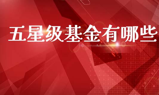 五星级基金有哪些_https://m.lcpcjs.com_恒指期货保证金_第1张