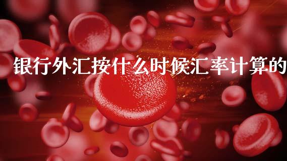 银行外汇按什么时候汇率计算的_https://m.lcpcjs.com_期货交易时间_第1张