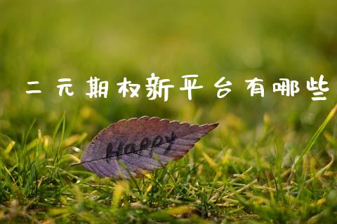 二元期权新平台有哪些_https://m.lcpcjs.com_期货交易时间_第1张