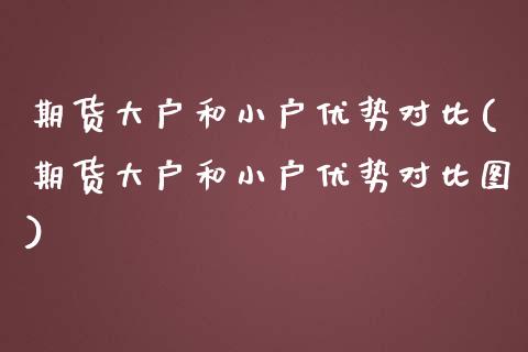 期货大户和小户优势对比(期货大户和小户优势对比图)_https://m.lcpcjs.com_恒指期货保证金_第1张