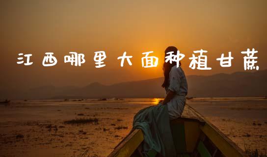 江西哪里大面种植甘蔗_https://m.lcpcjs.com_期货交易时间_第1张