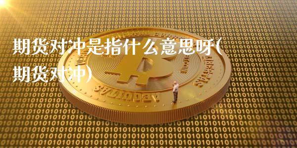 期货对冲是指什么意思呀(期货对冲)_https://m.lcpcjs.com_期货交易_第1张