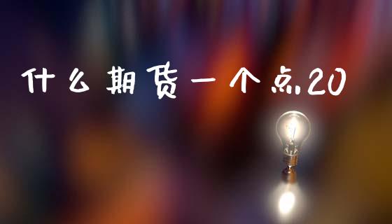 什么期货一个点20_https://m.lcpcjs.com_期货交易时间_第1张