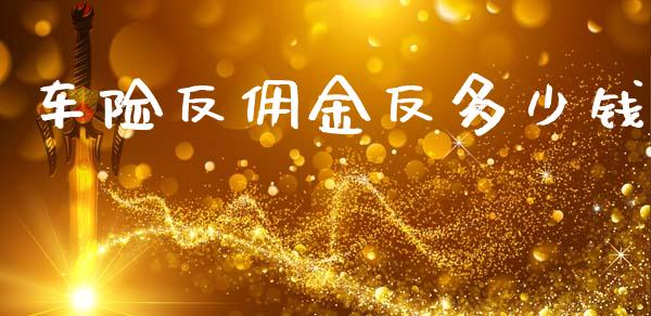 车险反佣金反多少钱_https://m.lcpcjs.com_白银期货保证金_第1张