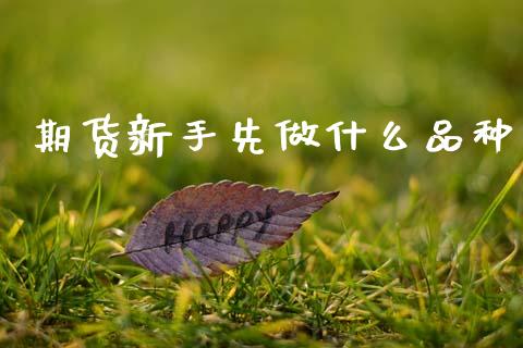 期货新手先做什么品种_期货交易_第1张_白银期货保证金_期货交易_恒指期货保证金_期货交易时间 期货新手先做什么品种_https://m.lcpcjs.com_期货交易_第1张