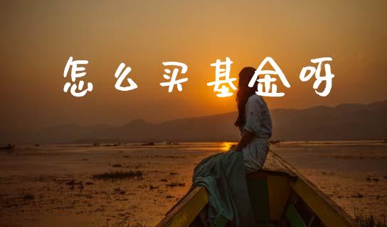 怎么买基金呀_https://m.lcpcjs.com_恒指期货保证金_第1张