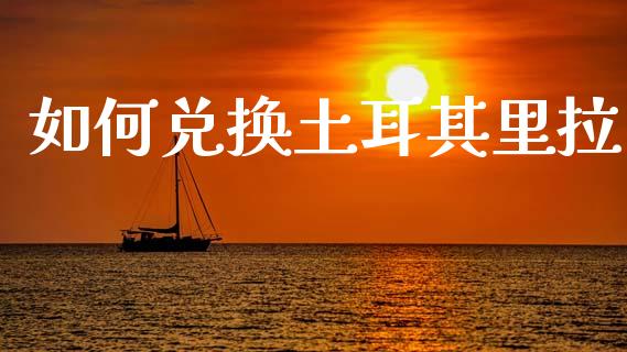 如何兑换土耳其里拉_https://m.lcpcjs.com_白银期货保证金_第1张