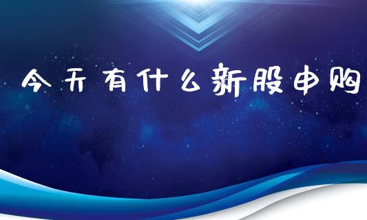 今天有什么新股申购_https://m.lcpcjs.com_恒指期货保证金_第1张