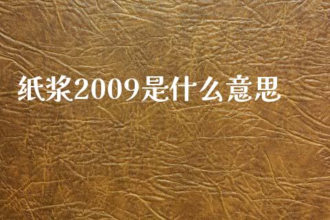 纸浆2009是什么意思_https://m.lcpcjs.com_白银期货保证金_第1张