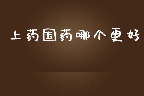 上药国药哪个更好_https://m.lcpcjs.com_恒指期货保证金_第1张