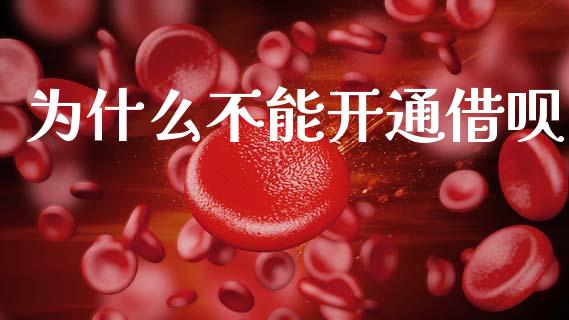 为什么不能开通借呗_https://m.lcpcjs.com_恒指期货保证金_第1张
