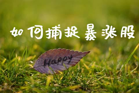 如何捕捉暴涨股_期货交易时间_第1张_白银期货保证金_期货交易_恒指期货保证金_期货交易时间 如何捕捉暴涨股_https://m.lcpcjs.com_期货交易时间_第1张