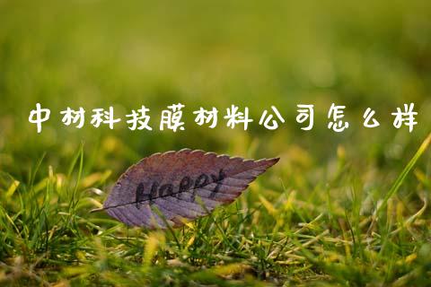 中材科技膜材料公司怎么样_https://m.lcpcjs.com_白银期货保证金_第1张