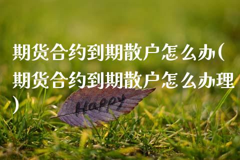 期货合约到期散户怎么办(期货合约到期散户怎么办理)_https://m.lcpcjs.com_恒指期货保证金_第1张