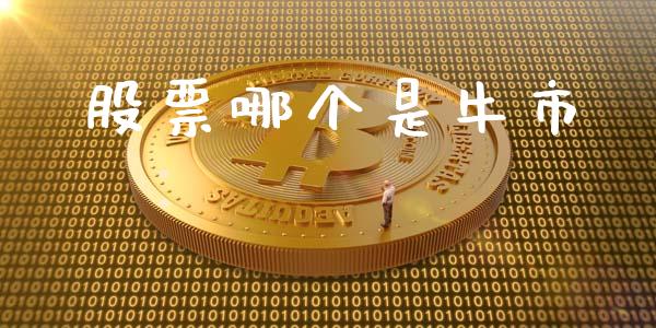 股票哪个是牛市_https://m.lcpcjs.com_期货交易时间_第1张