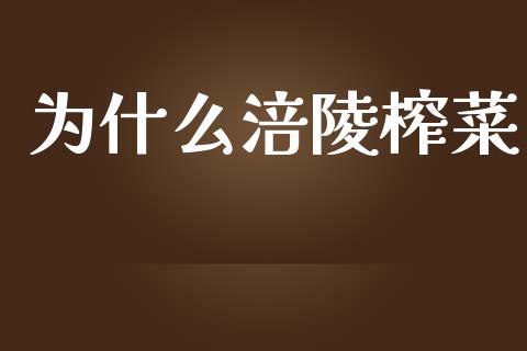为什么涪陵榨菜_https://m.lcpcjs.com_恒指期货保证金_第1张