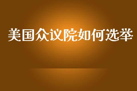 美国众议院如何选举_https://m.lcpcjs.com_恒指期货保证金_第1张