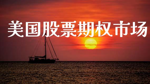 美国股票期权市场_https://m.lcpcjs.com_期货交易_第1张