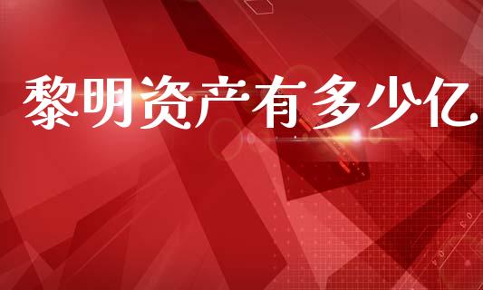 黎明资产有多少亿_https://m.lcpcjs.com_白银期货保证金_第1张