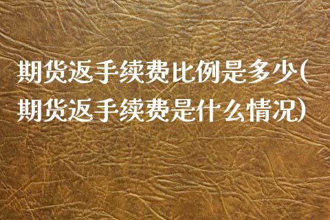 期货返手续费比例是多少(期货返手续费是什么情况)_https://m.lcpcjs.com_期货交易_第1张