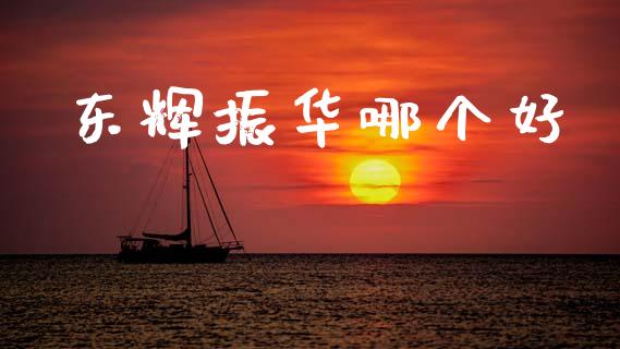 东辉振华哪个好_https://m.lcpcjs.com_期货交易时间_第1张
