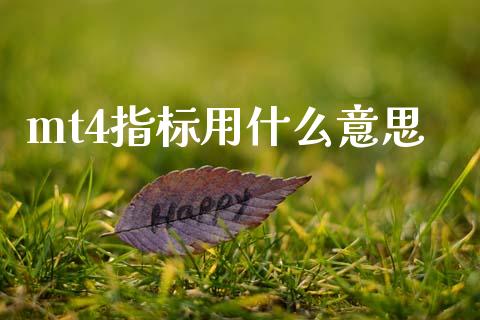 mt4指标用什么意思_https://m.lcpcjs.com_期货交易时间_第1张