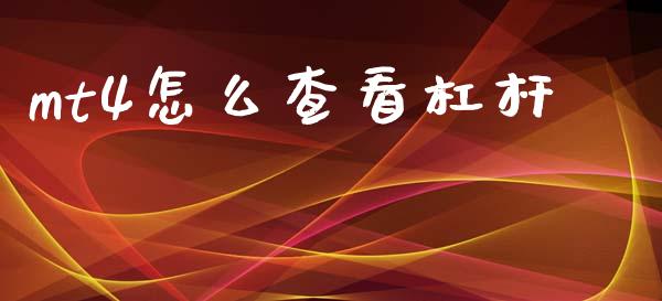 mt4怎么查看杠杆_https://m.lcpcjs.com_恒指期货保证金_第1张