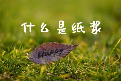 什么是纸浆_https://m.lcpcjs.com_期货交易时间_第1张
