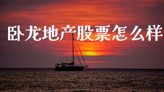 卧龙地产股票怎么样_https://m.lcpcjs.com_期货交易时间_第1张