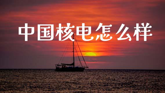 中国核电怎么样_https://m.lcpcjs.com_恒指期货保证金_第1张