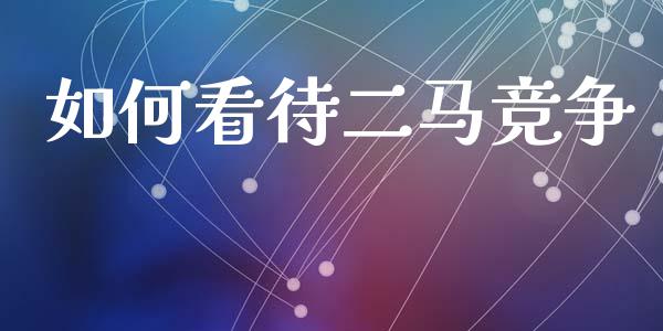 如何看待二马竞争_https://m.lcpcjs.com_期货交易_第1张