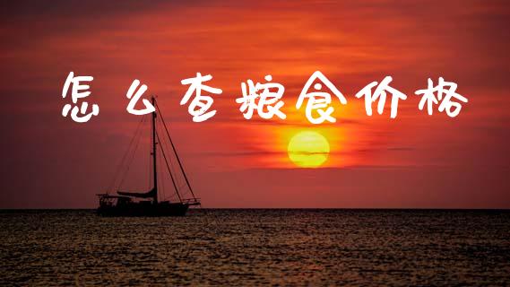 怎么查粮食价格_https://m.lcpcjs.com_白银期货保证金_第1张