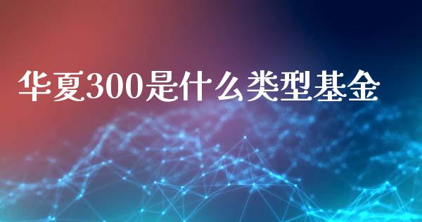 华夏300是什么类型基金_https://m.lcpcjs.com_白银期货保证金_第1张