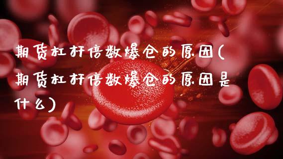 期货杠杆倍数爆仓的原因(期货杠杆倍数爆仓的原因是什么)_https://m.lcpcjs.com_期货交易_第1张