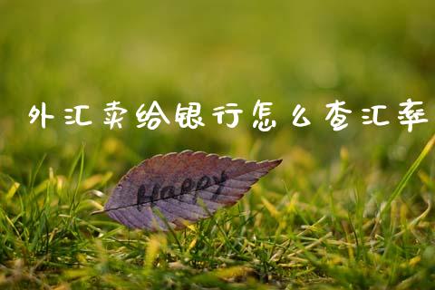 外汇卖给银行怎么查汇率_https://m.lcpcjs.com_期货交易时间_第1张