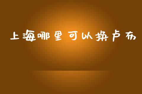 上海哪里可以换卢布_https://m.lcpcjs.com_恒指期货保证金_第1张