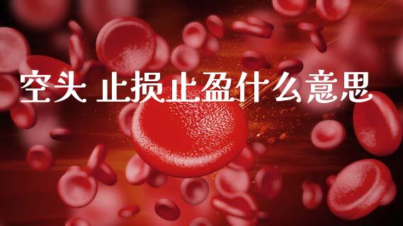 空头 止损止盈什么意思_https://m.lcpcjs.com_恒指期货保证金_第1张