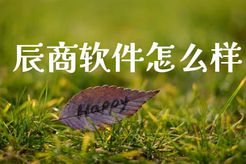 辰商软件怎么样_https://m.lcpcjs.com_白银期货保证金_第1张