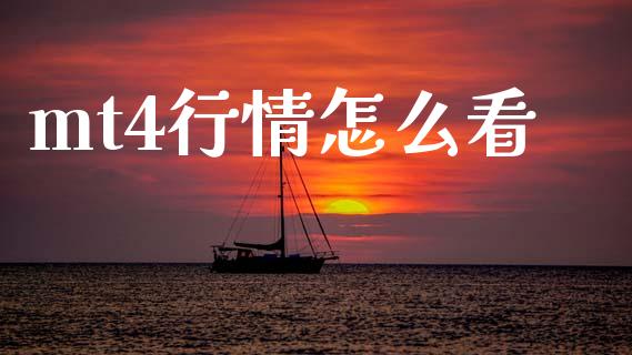 mt4行情怎么看_https://m.lcpcjs.com_期货交易时间_第1张