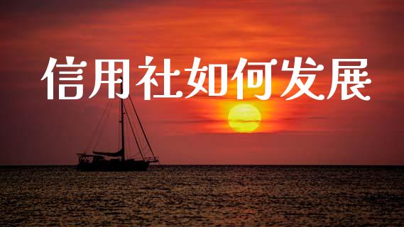 信用社如何发展_https://m.lcpcjs.com_期货交易时间_第1张