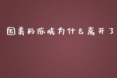 国美的陈晓为什么离开了_https://m.lcpcjs.com_恒指期货保证金_第1张