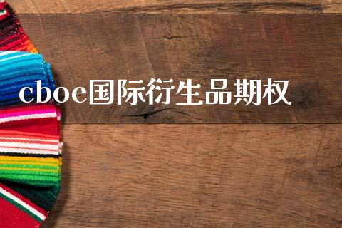 cboe国际衍生品期权_https://m.lcpcjs.com_白银期货保证金_第1张