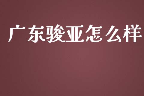广东骏亚怎么样_https://m.lcpcjs.com_白银期货保证金_第1张