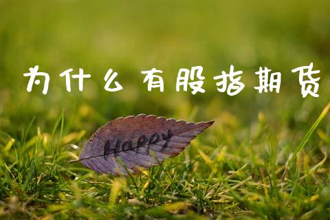 为什么有股指期货_期货交易_第1张_白银期货保证金_期货交易_恒指期货保证金_期货交易时间 为什么有股指期货_https://m.lcpcjs.com_期货交易_第1张