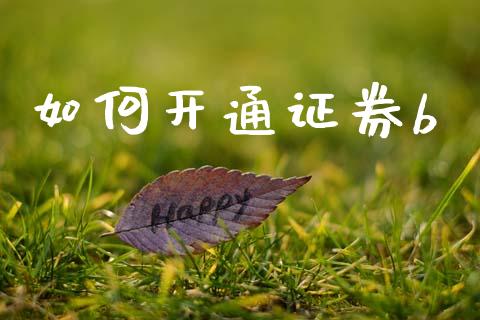 如何开通证券b_https://m.lcpcjs.com_恒指期货保证金_第1张
