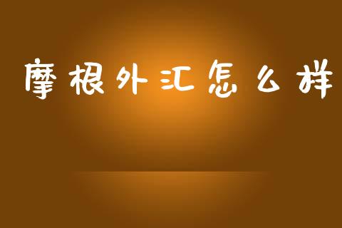 摩根外汇怎么样_https://m.lcpcjs.com_恒指期货保证金_第1张